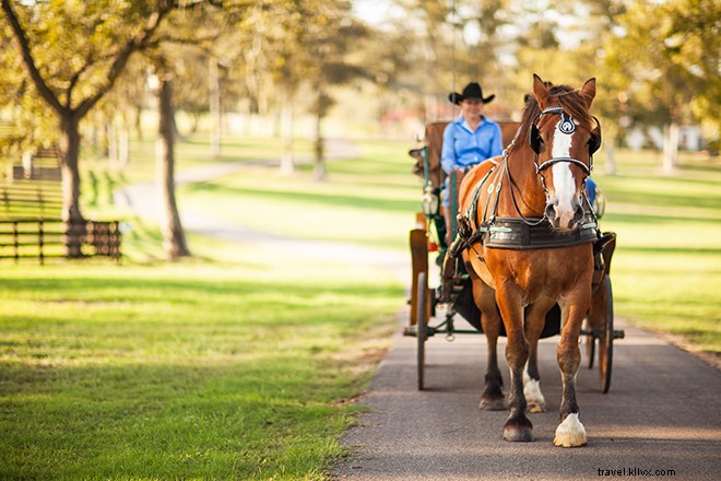 Questo resort di campagna in collina dimostra che la vita in un ranch può essere lussuosa 